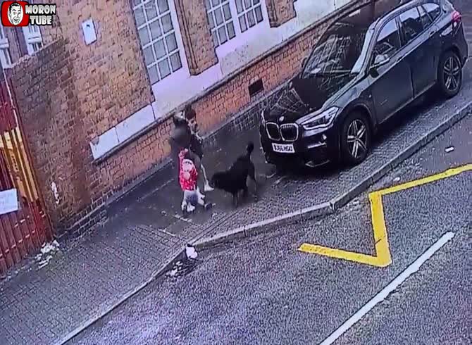Video :A very vicious dog attacked children in England
